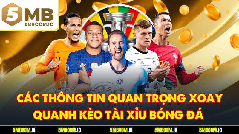 Các thông tin quan trọng xoay quanh  kèo tài xỉu bóng đá