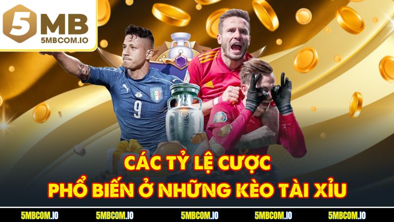 Các tỷ lệ cược phổ biến ở những kèo tài xỉu